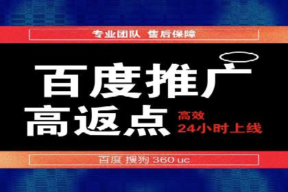 谷歌竞价广告与SEO结合的营销案例解析